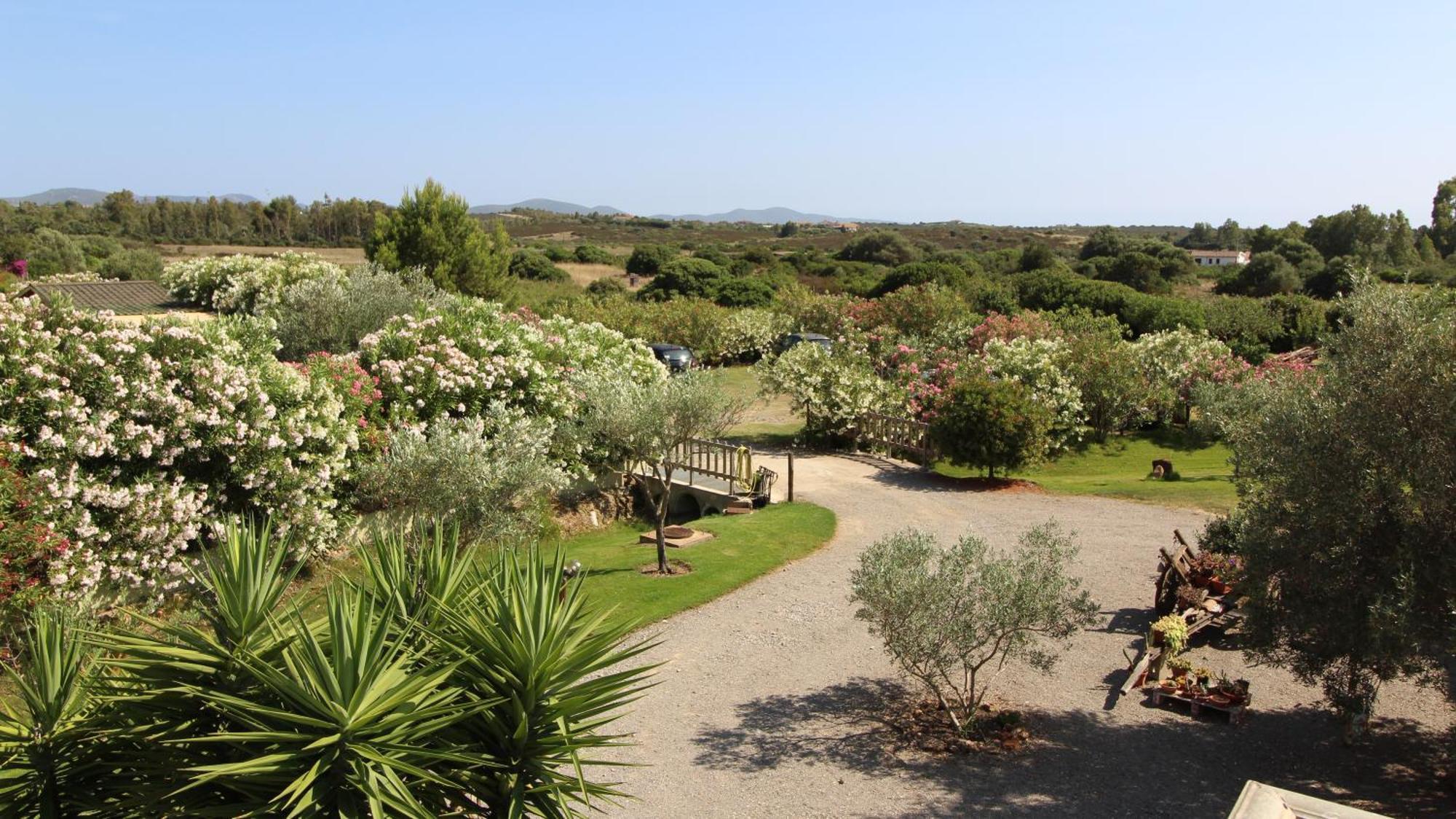 Casa Vacanze Giovanna SantʼAnna Arresi Exterior foto